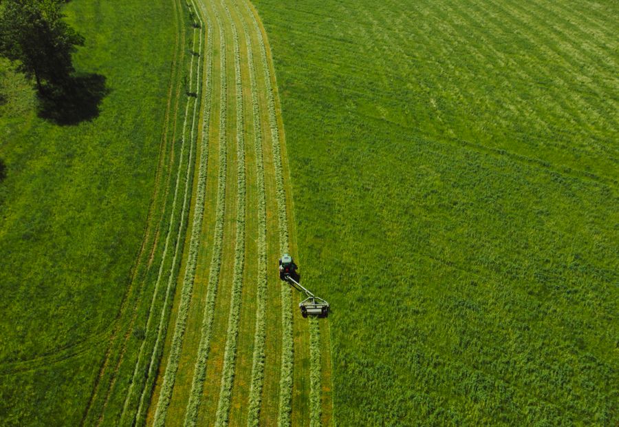 Rotary cutter mowing a grown up field edge on Craighead County farm ground