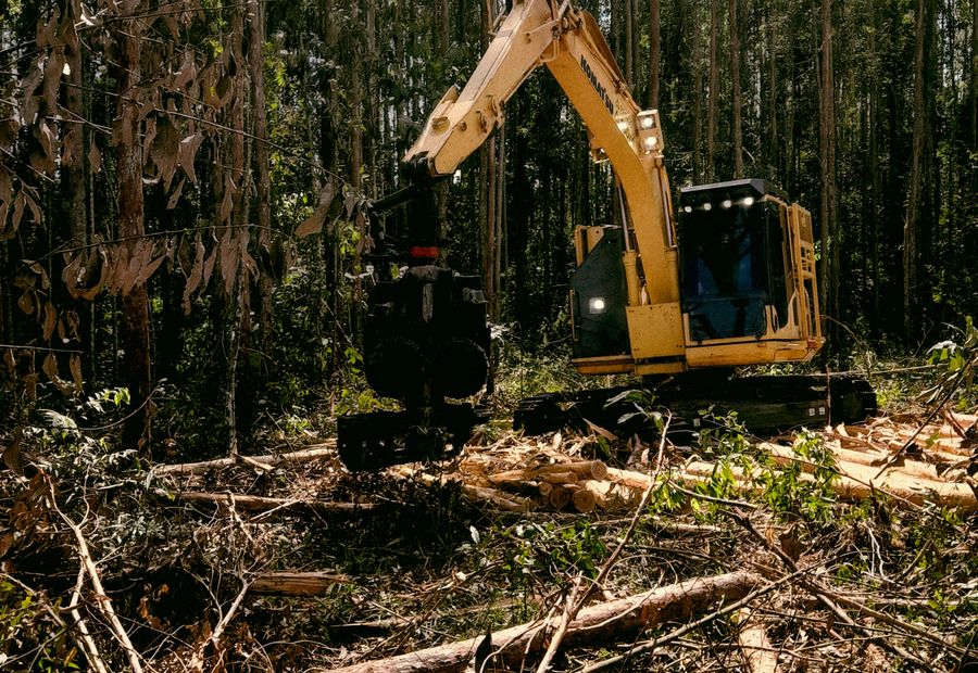 Cleared northeast Arkansas acreage covered in mulch chips with no debris pile